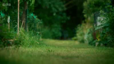 Oh, here we are. - Wild London