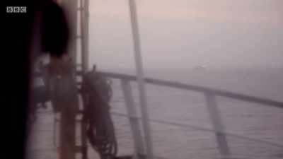 Oh, he's getting a bit closer to
him now. - Cornwall: This Fishing Life