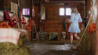 Oh, hey Gillian. - The Heiress and the Handyman
