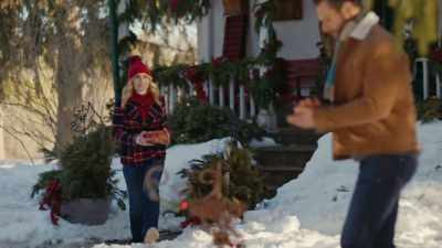 Oh, hey! - Christmas on the Alpaca Farm