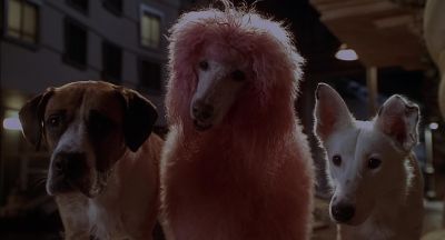 Oh but how Please Please - Babe: Pig in the City