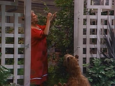               Oh, howdy, Raquel. - ALF