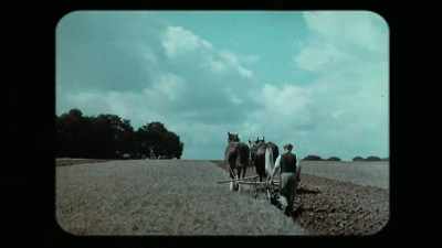 ♪ Oh, I am a merry ploughboy ♪ - Crock of Gold: A Few Rounds with Shane MacGowan