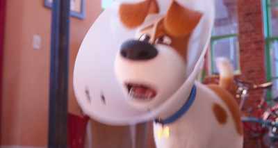 Oh, I feel like that's very
specific to you, but totally. - The Secret Life of Pets 2