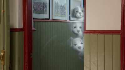 Oh, I hope he's going to the cafeteria. - Phantom Pups