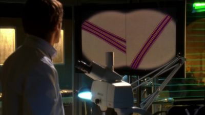 Oh, if I hurt her in any way... - CSI: Miami