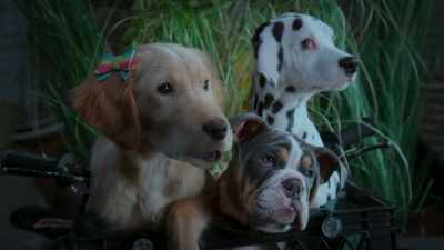 Oh, I know him. He was at the séance! - Phantom Pups