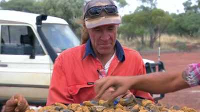 Oh, I need a X-Ray machine.
(ALL LAUGHING) - Outback Opal Hunters