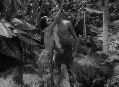 Oh! I see! Coconuts. - Bird of Paradise