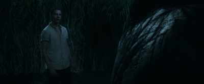 Oh, I think it's a safe bet
it's been here - In the Tall Grass