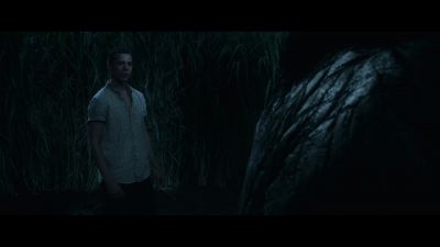 Oh I think it's a safe bet it's been here - In the Tall Grass