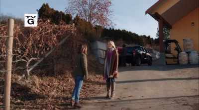Oh, I used to, - Valentine in the Vineyard