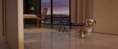 Oh, I'm gonna turn both
your ears inside out, - Gracie & Pedro: Pets to the Rescue