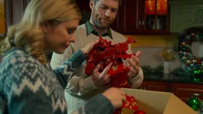 Oh, I'm so sorry, my dear, - Designing Christmas with You
