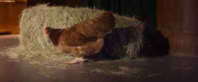- Oh.
- Is that Mrs. Lay? - Feather Christmas