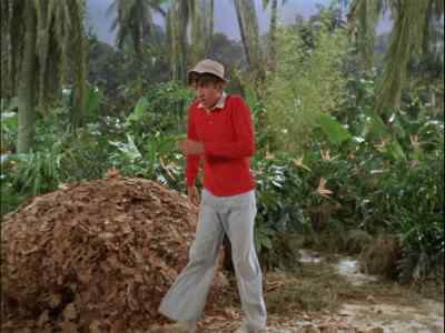 OH. IT WILL SERVE
KINCAID RIGHT - Gilligan's Island