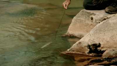 OH, IT'S ALL THE SCALES
COMING OFF. - Expedition Mungo