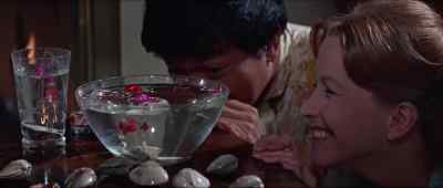 - Oh, it's charming.
- Oh. - Reflections in a Golden Eye