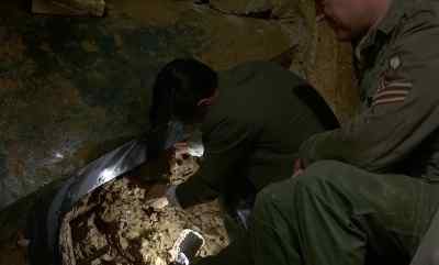 Oh, it's magnificent! - Quatermass and the Pit