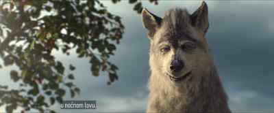 Oh, it's only one red sock. - Mowgli: Legend of the Jungle