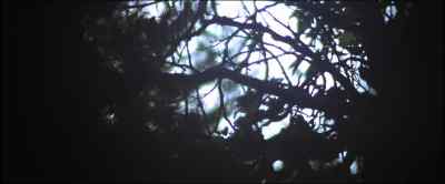 Oh Jenny, - Camelot