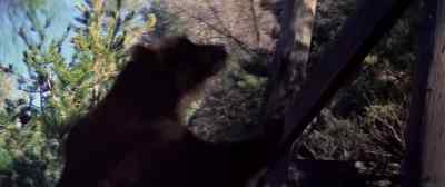 - Oh Jesus! - Grizzly