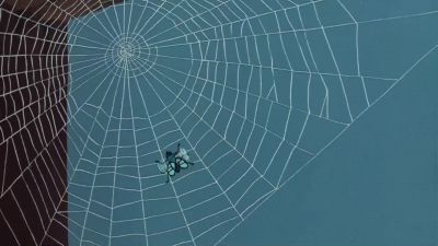 Oh just a minute Wilbur - Charlotte's Web