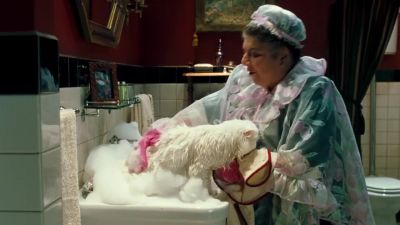 Oh l forgot your bow - Cats &amp; Dogs