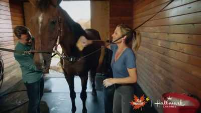 Oh, you like a bath,
don't you, Wally? - Taking the Reins