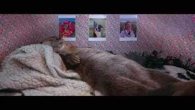 Oh, look at her. - Billy & Molly: An Otter Love Story