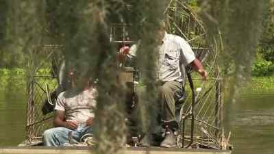 Oh, look at that log, pa. - Swamp People