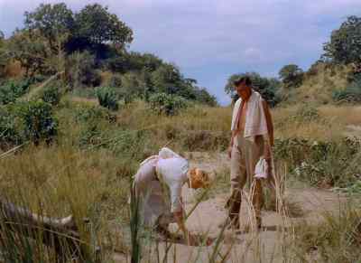 Oh, look. There's our lunch. - King Solomon's Mines