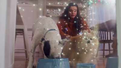 Oh, you love food,
you hate food. - The Dog Days of Christmas