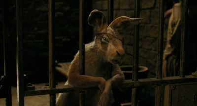 Oh, this lucky foot?
(laughs) - Dolittle