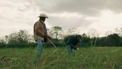 Oh, man, you heavy. - Queen Sugar
