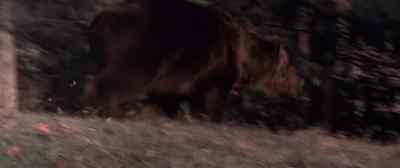 - Oh man, he's really moving! - Grizzly
