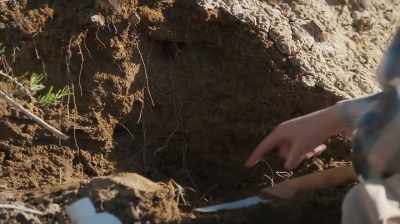 OH, MAN. LOOK AT THAT.
LOOK HOW PRETTY THAT IS. - Dino Hunters