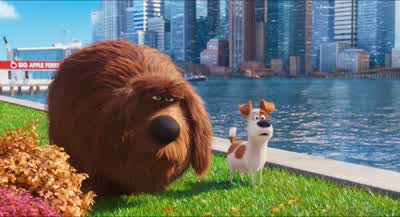 Oh, man. - The Secret Life of Pets