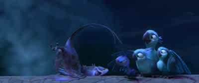 Oh, man. - Rio 2