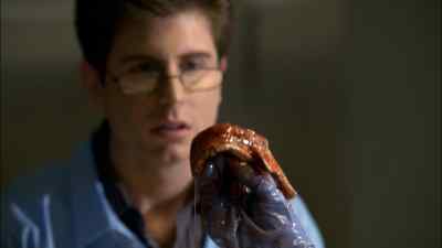 Oh, man. Sweet. - The Glades