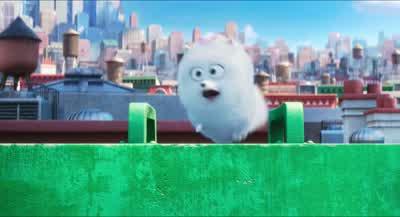 Oh! Max? Max? Max. - The Secret Life of Pets