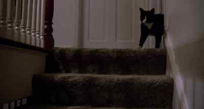 Oh, Mindy. - A Stranger Is Watching