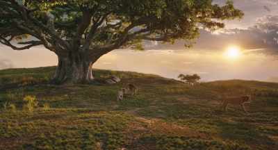 Oh, your mother,
she adopts every lizard, - Mufasa: The Lion King