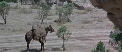 Oh, Mr Bass. Those furs aren't worth it. - The Scalphunters