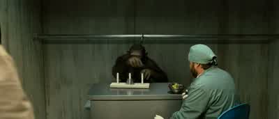 Oh, my God. - Rise of the Planet of the Apes