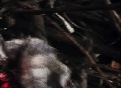 Oh, my God. - The Blair Witch Project