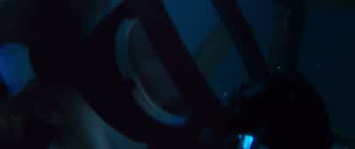 Oh, my god. - 47 Meters Down