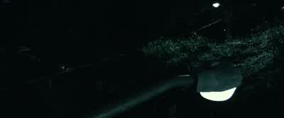 Oh, my God, the lights went out. - Project Almanac