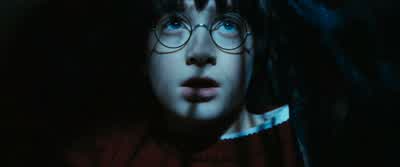 Oh, my mum made it. - Harry Potter and the Philosopher's Stone