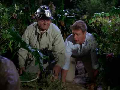 OH, MY WORD. - Gilligan's Island